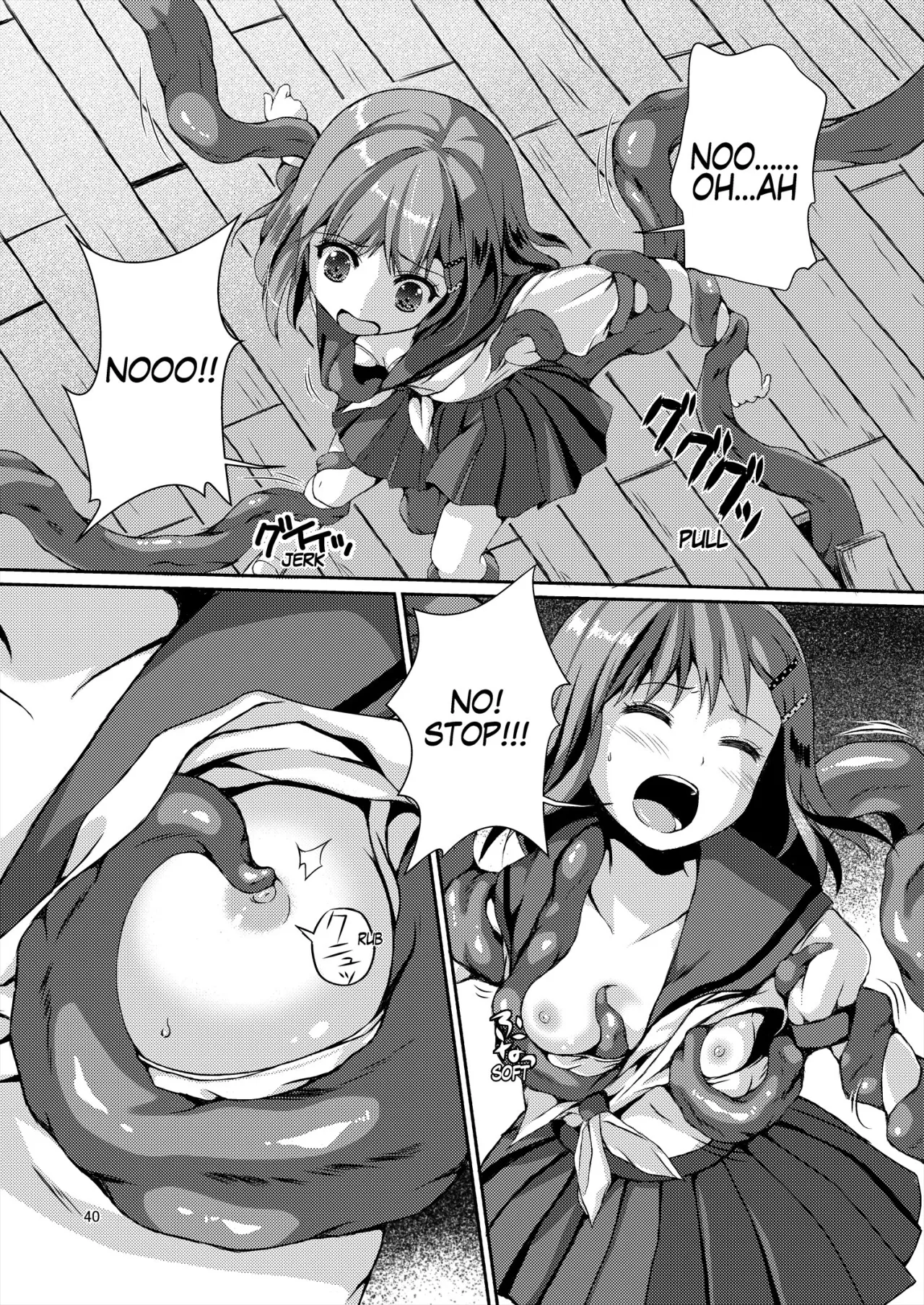 Seed Carrier Miko Anthology 40