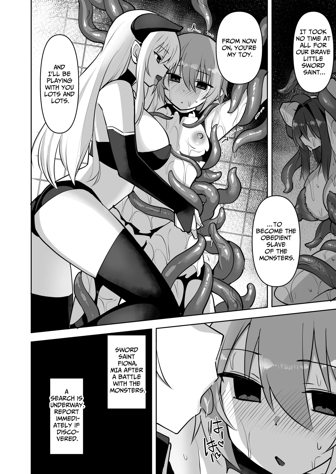 Seikenshi Fiona 23