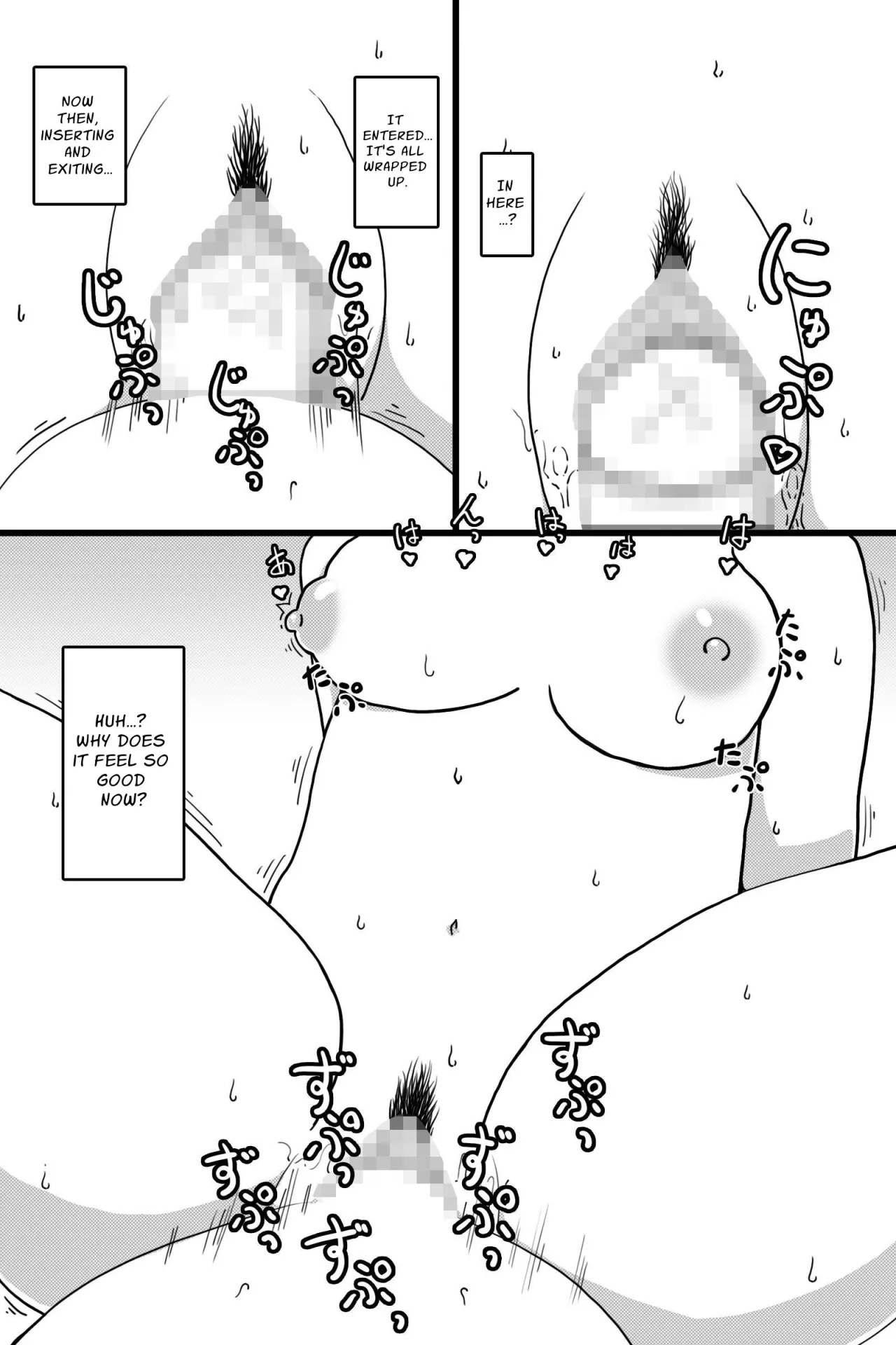 Seinaru Mamono 16