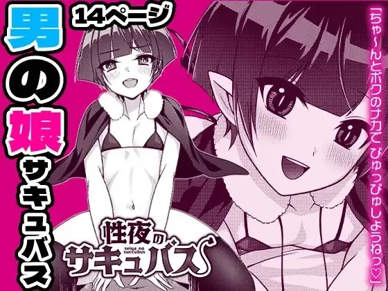 Seiya no Succubus 1