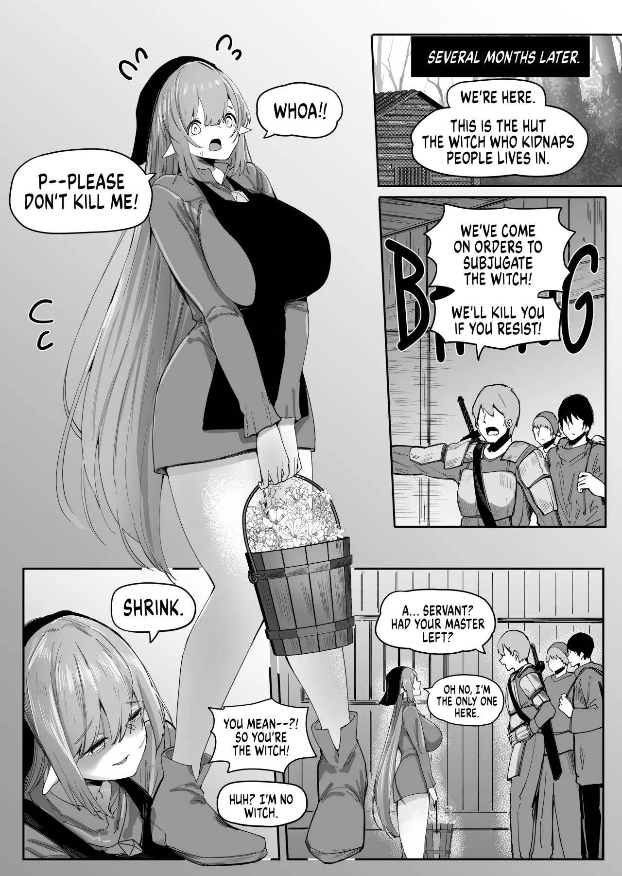 Servant Elves and Shrinking Magic 60