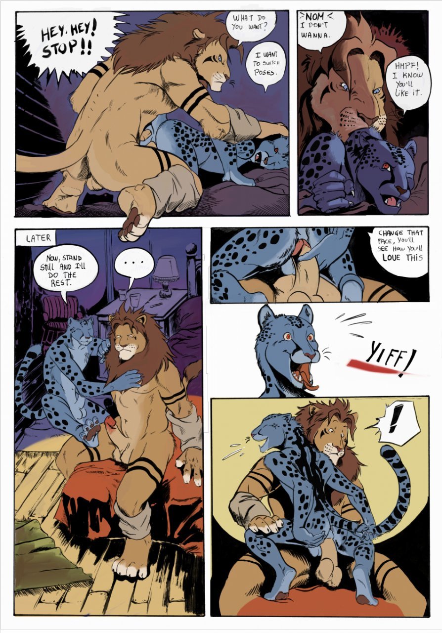 Shin & BV | Negy 2