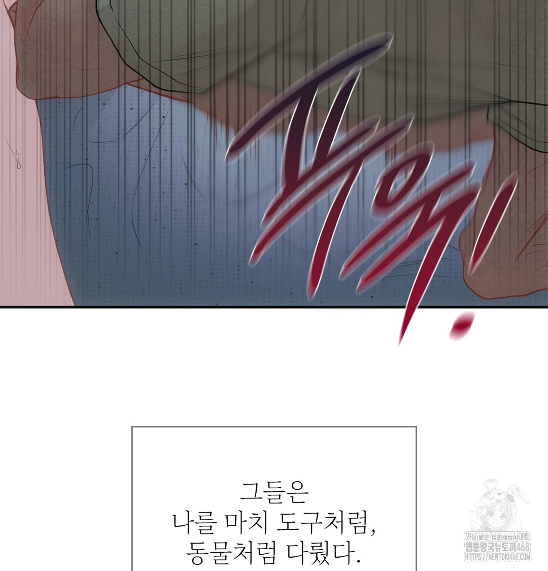 Slave Diary Raw 44