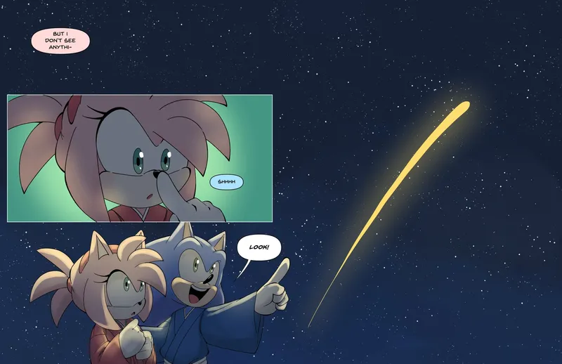 Sonamy Fireworks 3