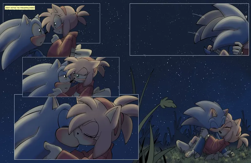 Sonamy Fireworks 7