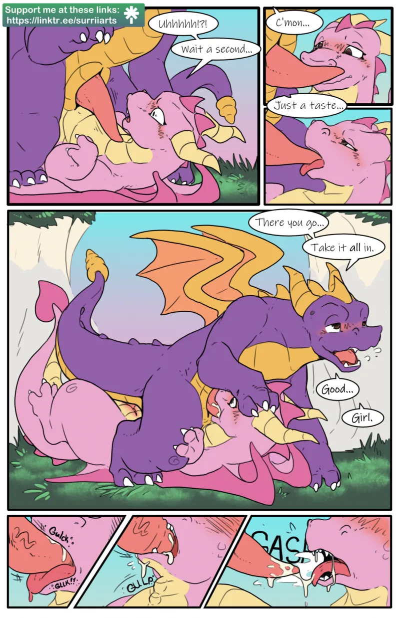 Spyro, Enter The Dragon 4