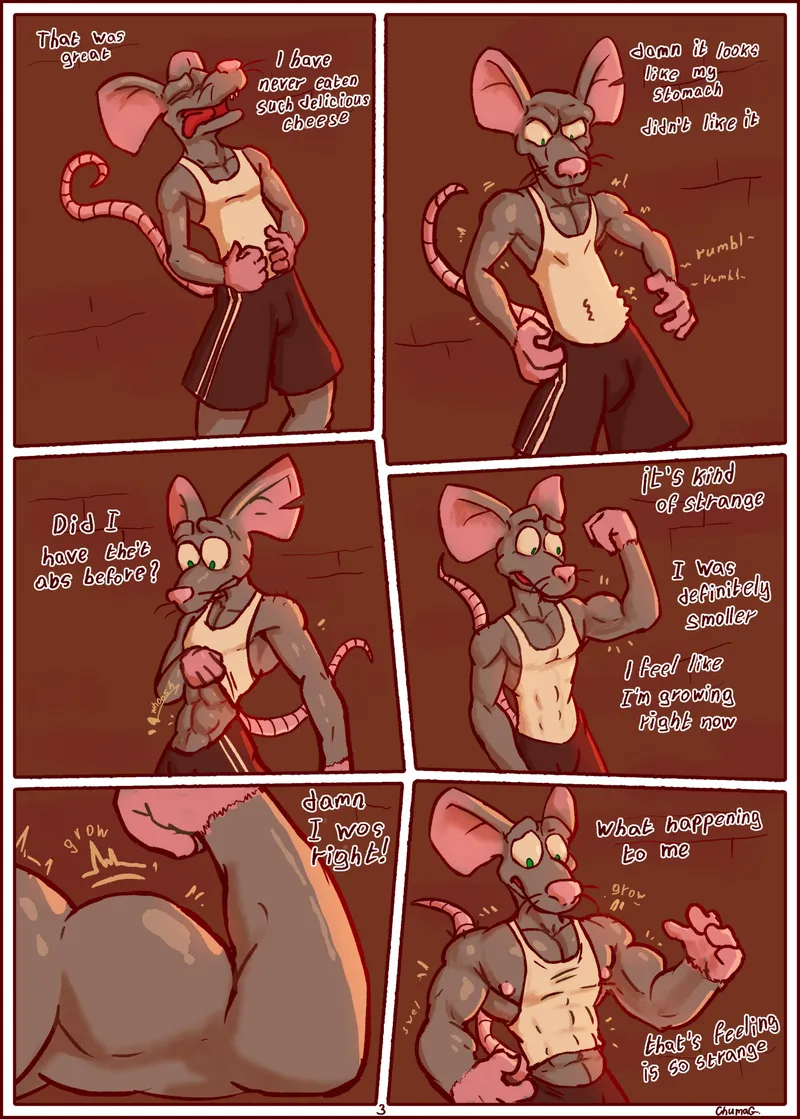 Strange Cheese 3