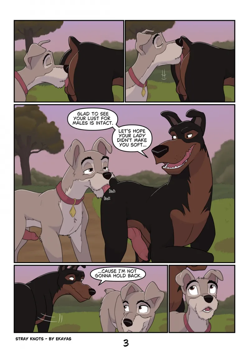 Stray Knots 3