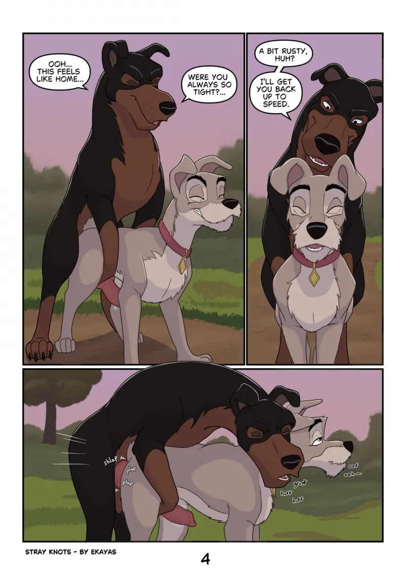 Stray Knots 4