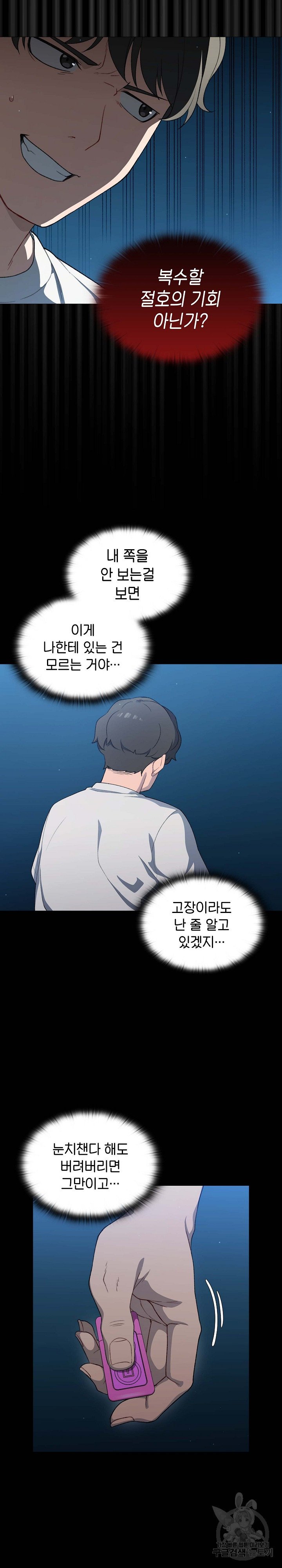 Swichon Raw 28