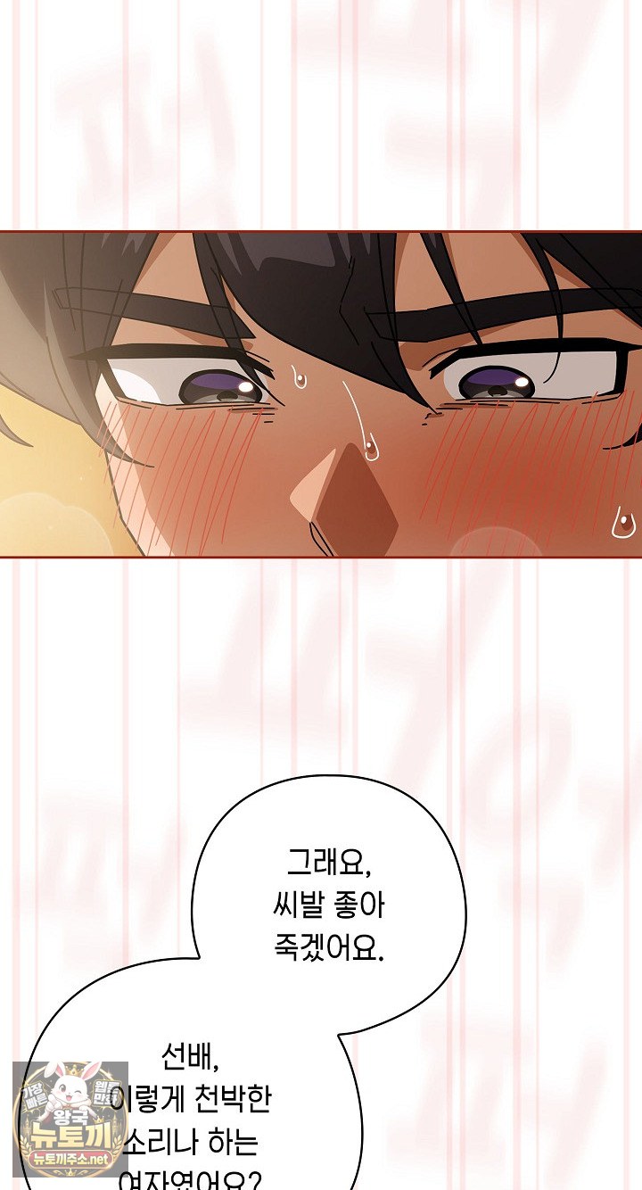 Swichon Raw 48