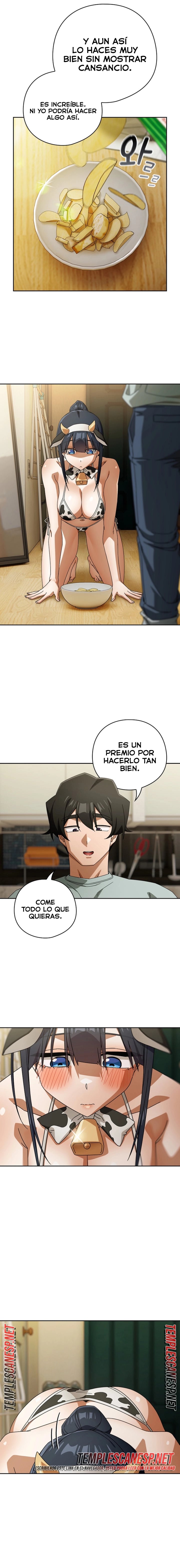 Swichon Raw 5