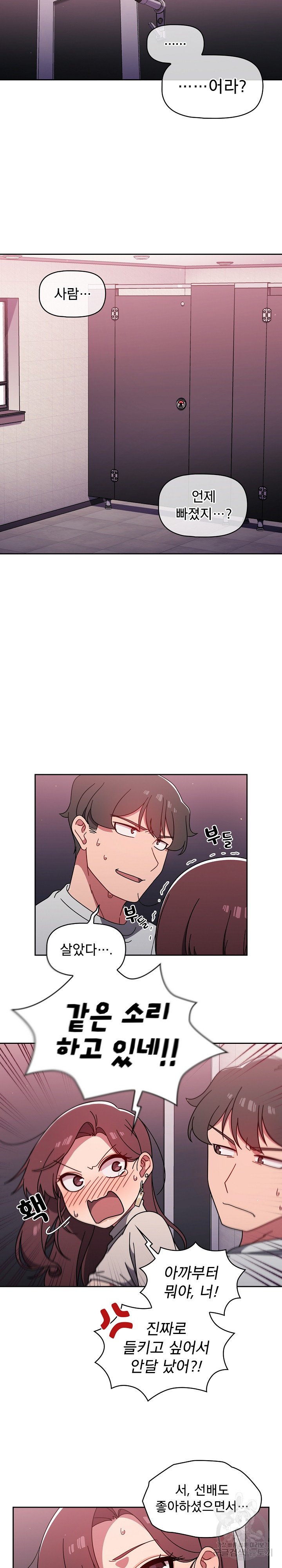 Swichon Raw 17