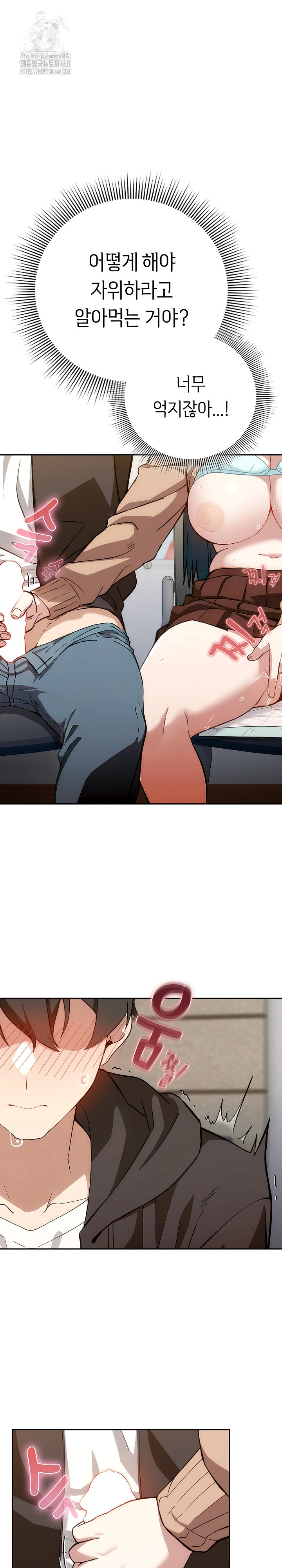 Swichon Raw 12