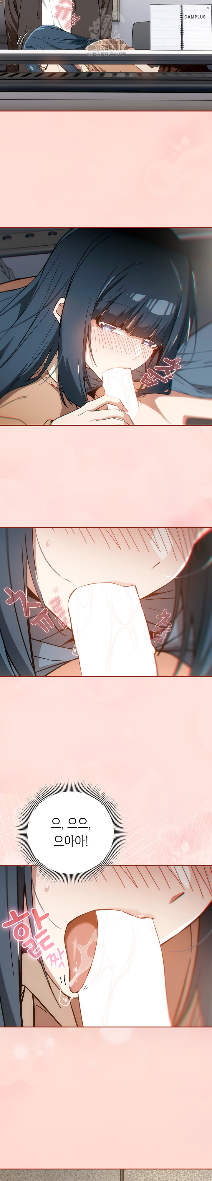 Swichon Raw 17
