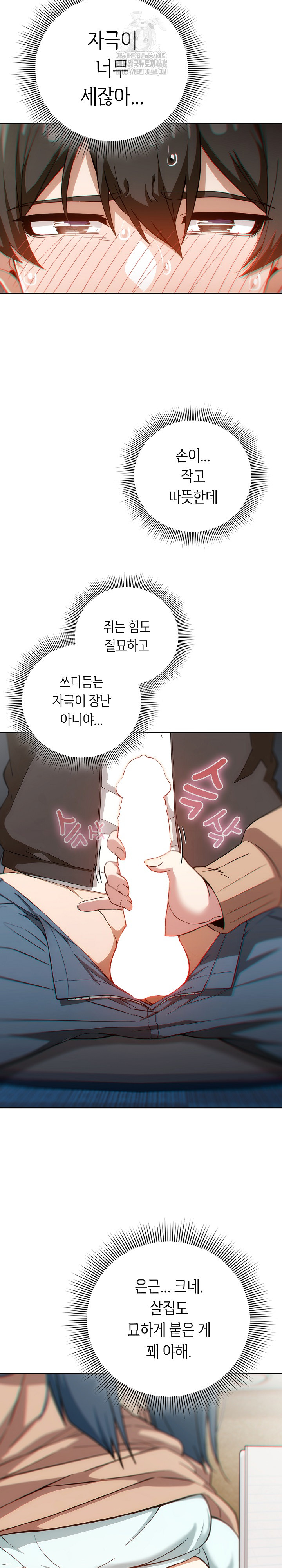 Swichon Raw 6