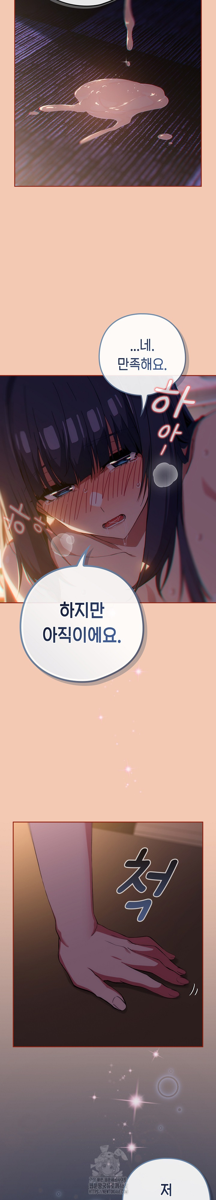 Swichon Raw 26