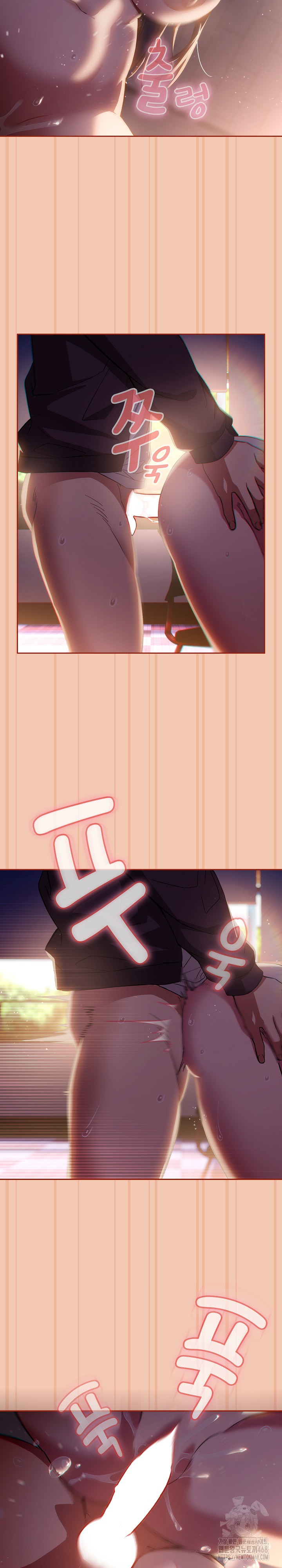 Swichon Raw 6