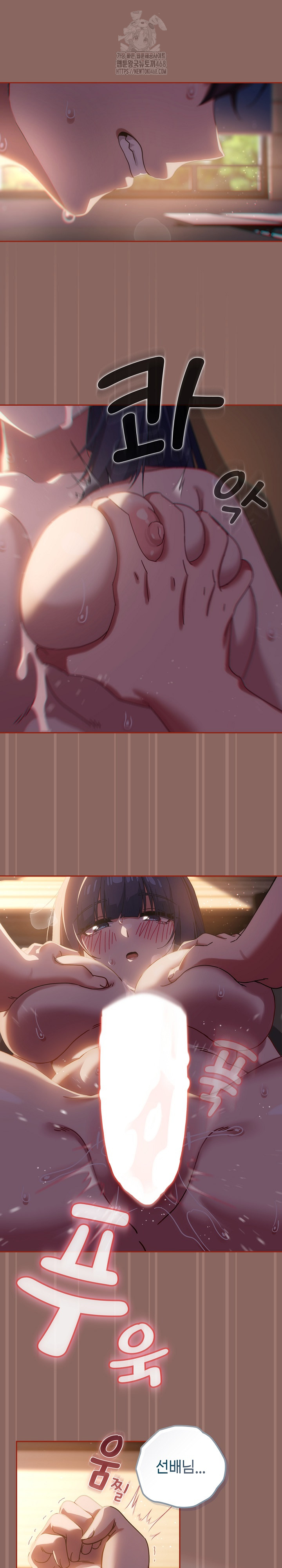 Swichon Raw 11