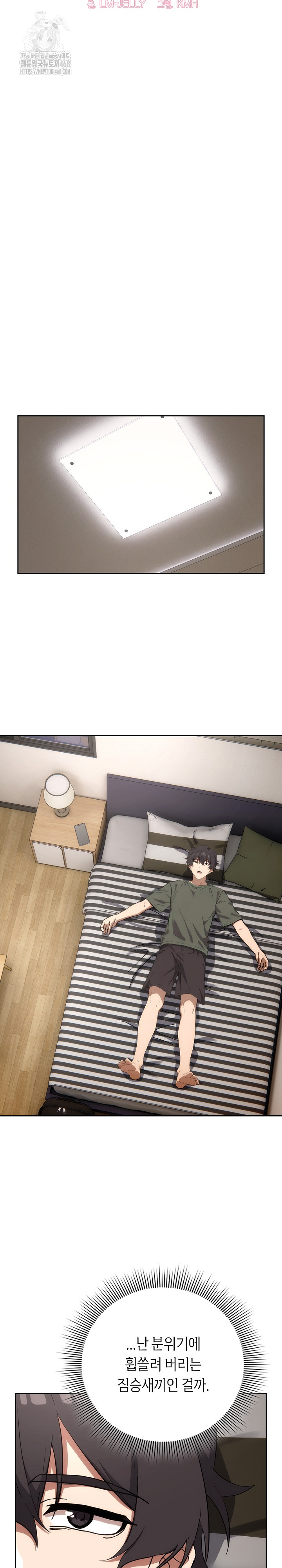 Swichon Raw 14