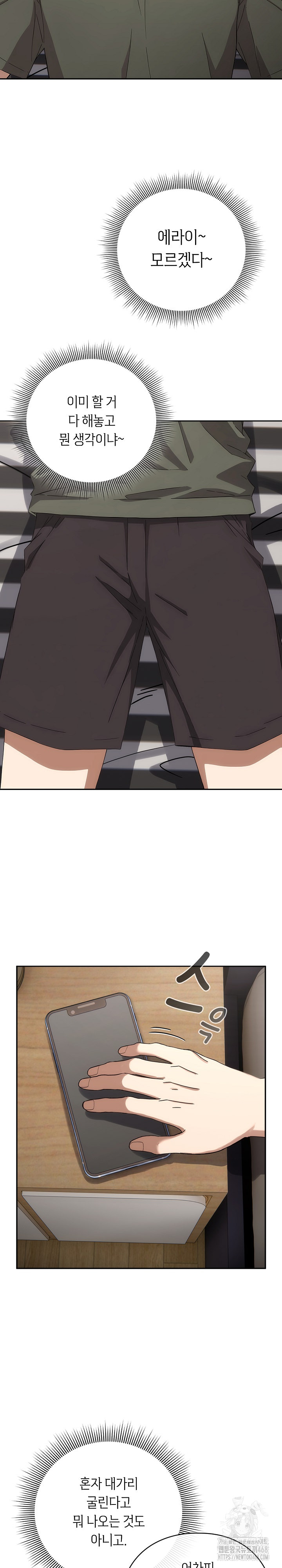 Swichon Raw 17
