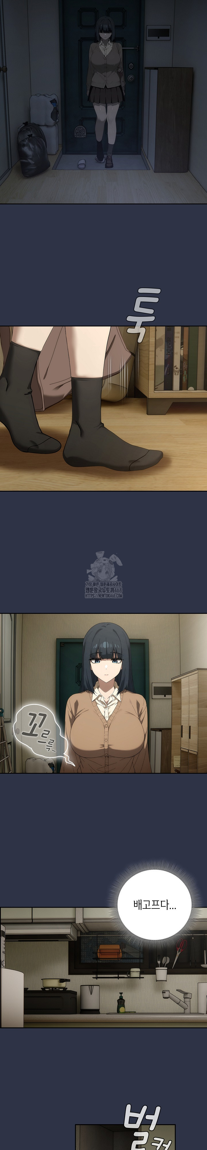 Swichon Raw 20