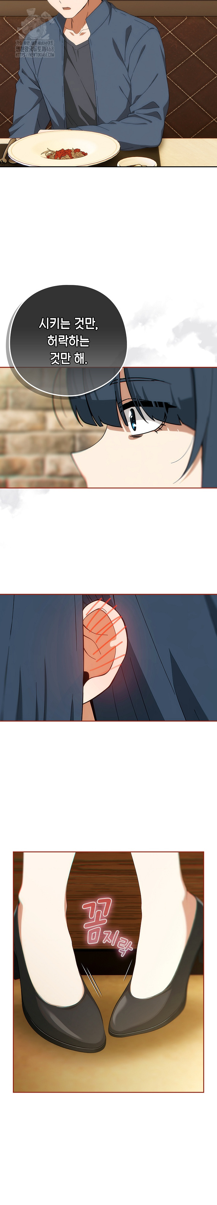 Swichon Raw 28