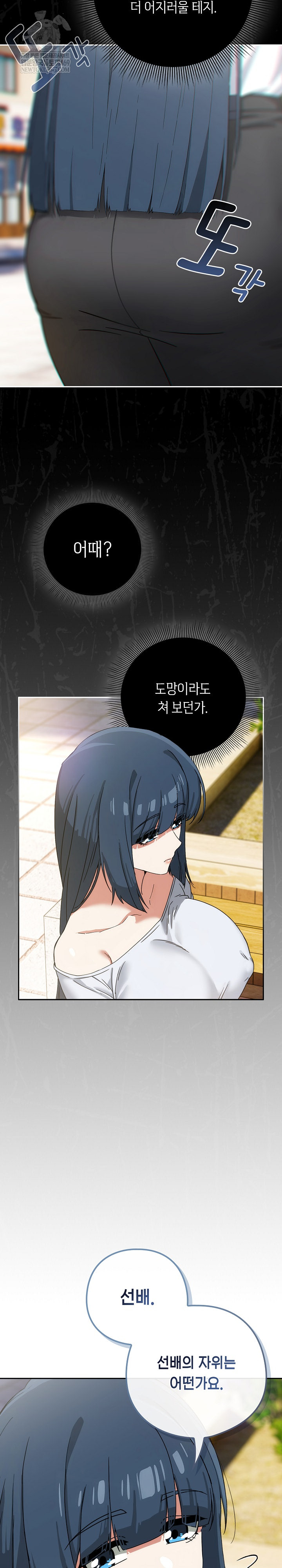 Swichon Raw 10