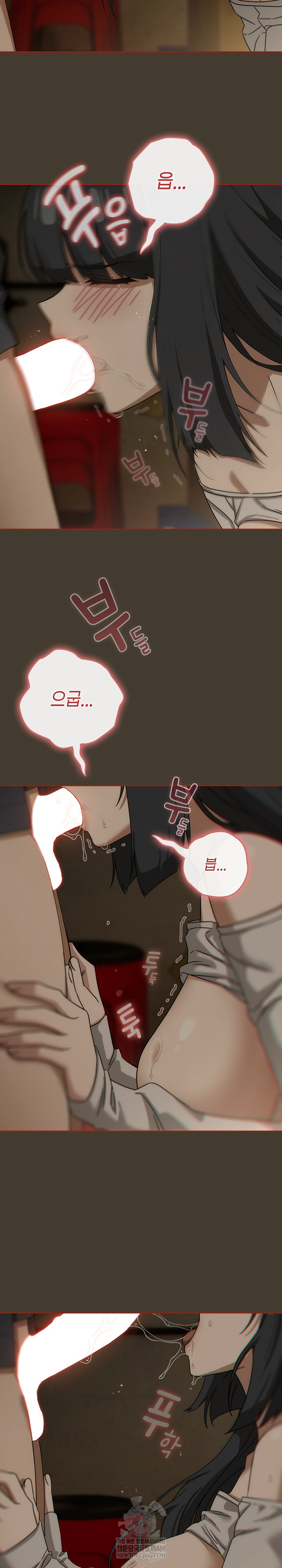 Swichon Raw 11