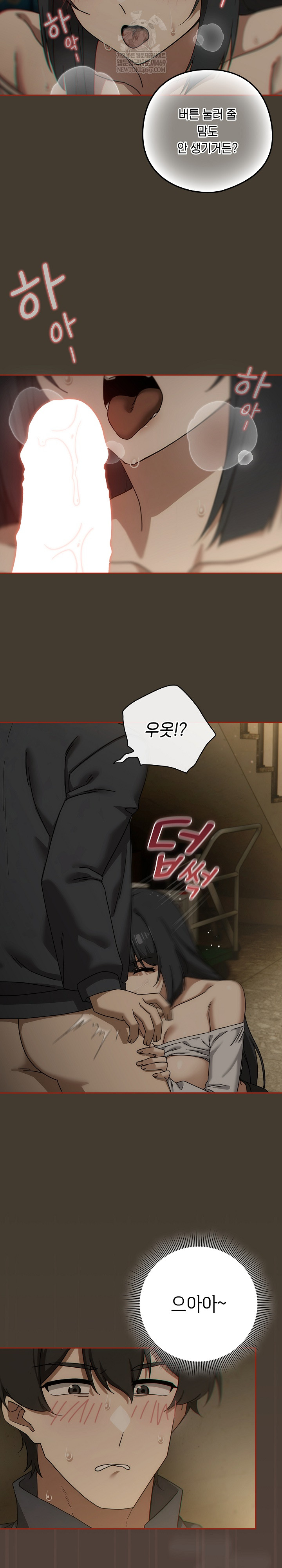 Swichon Raw 13