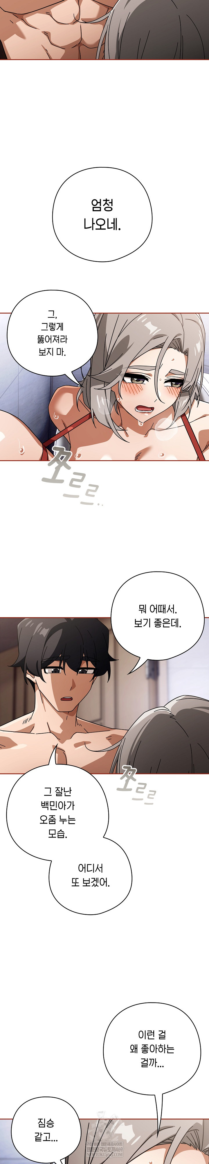 Swichon Raw 11
