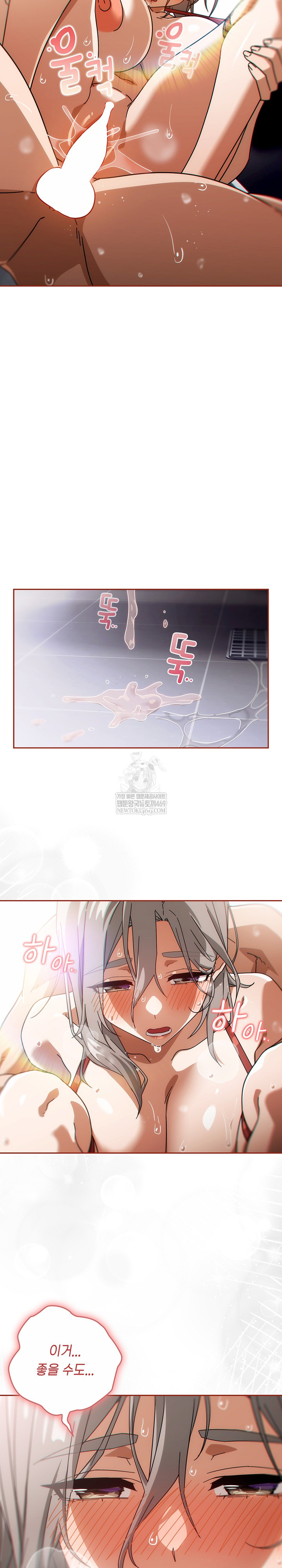Swichon Raw 17