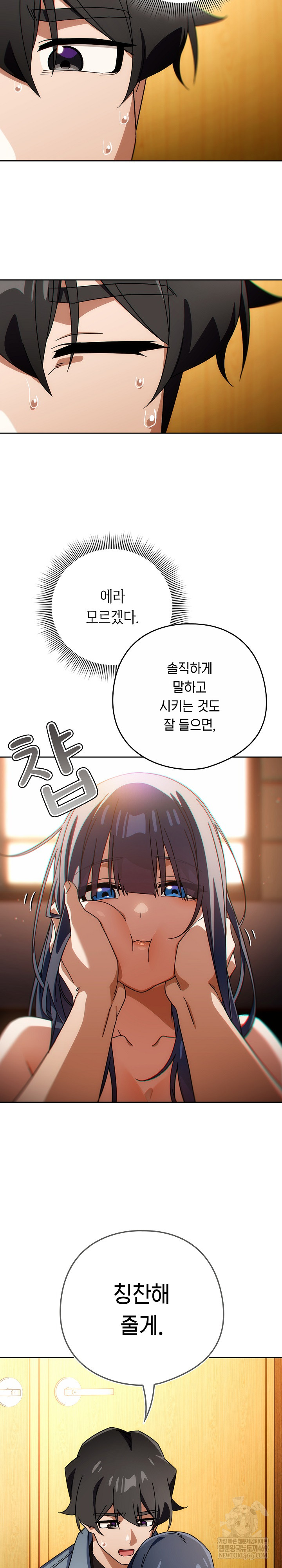 Swichon Raw 19
