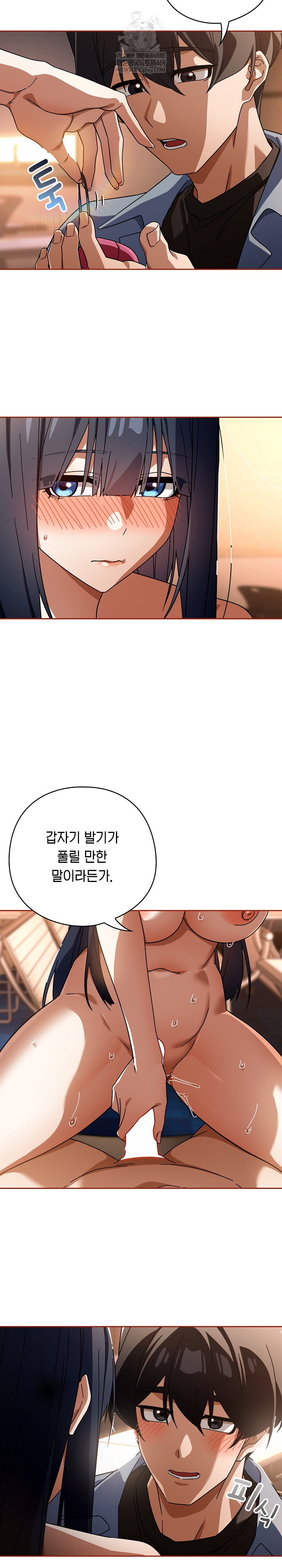Swichon Raw 13
