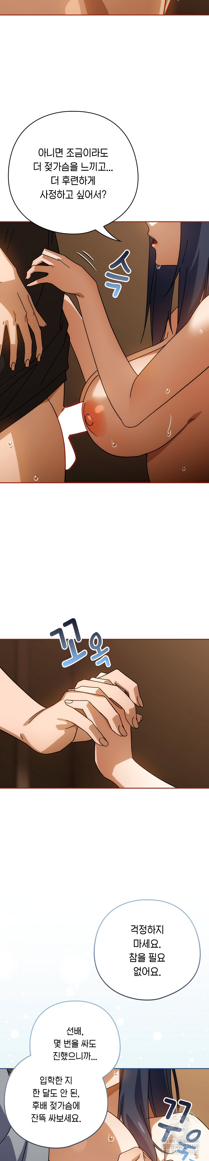 Swichon Raw 16