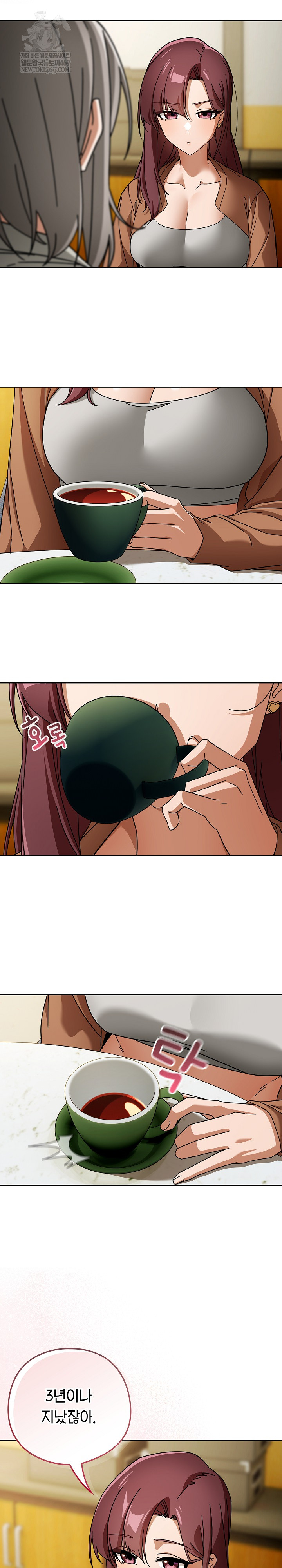 Swichon Raw 17
