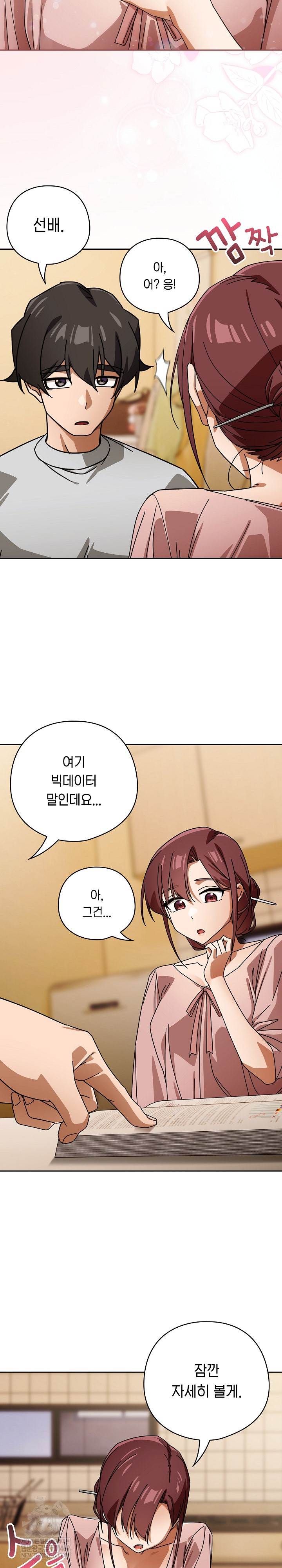 Swichon Raw 18