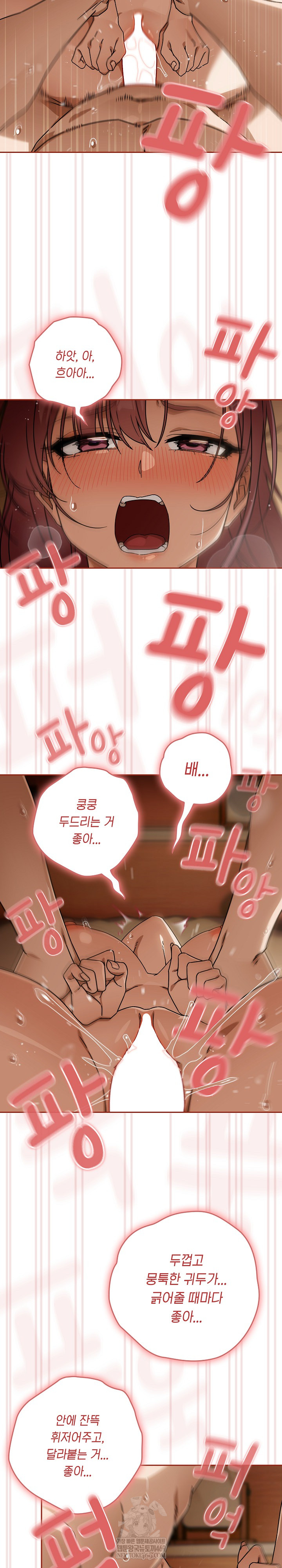 Swichon Raw 19