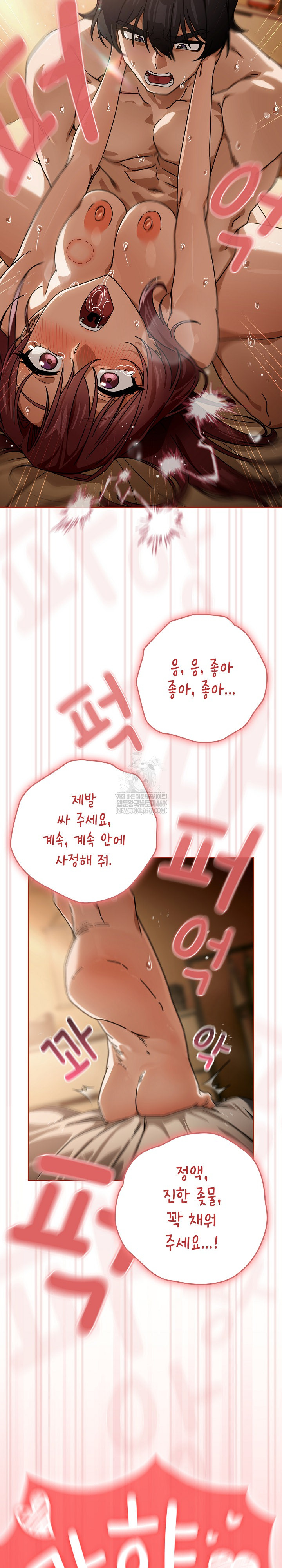 Swichon Raw 24