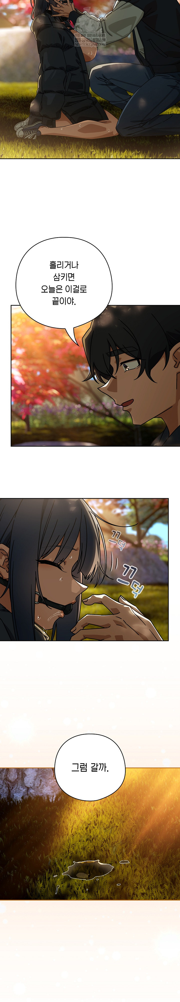 Swichon Raw 13