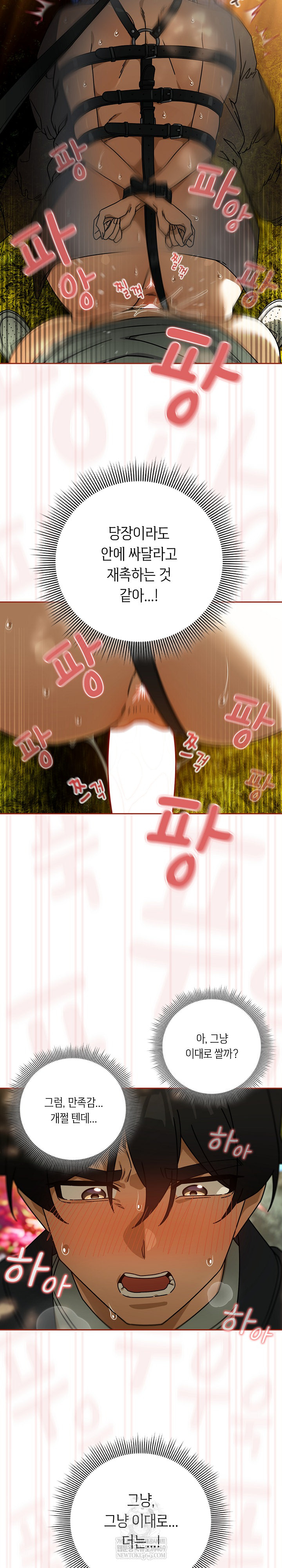 Swichon Raw 6