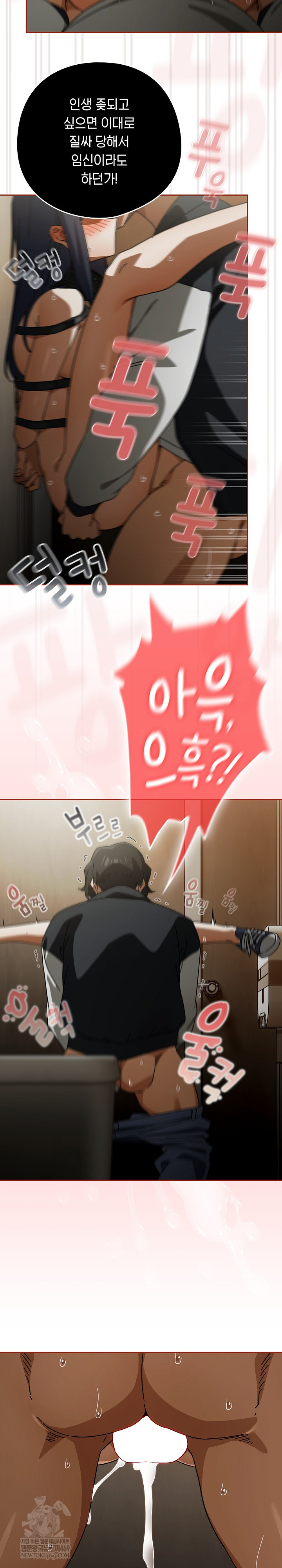 Swichon Raw 14