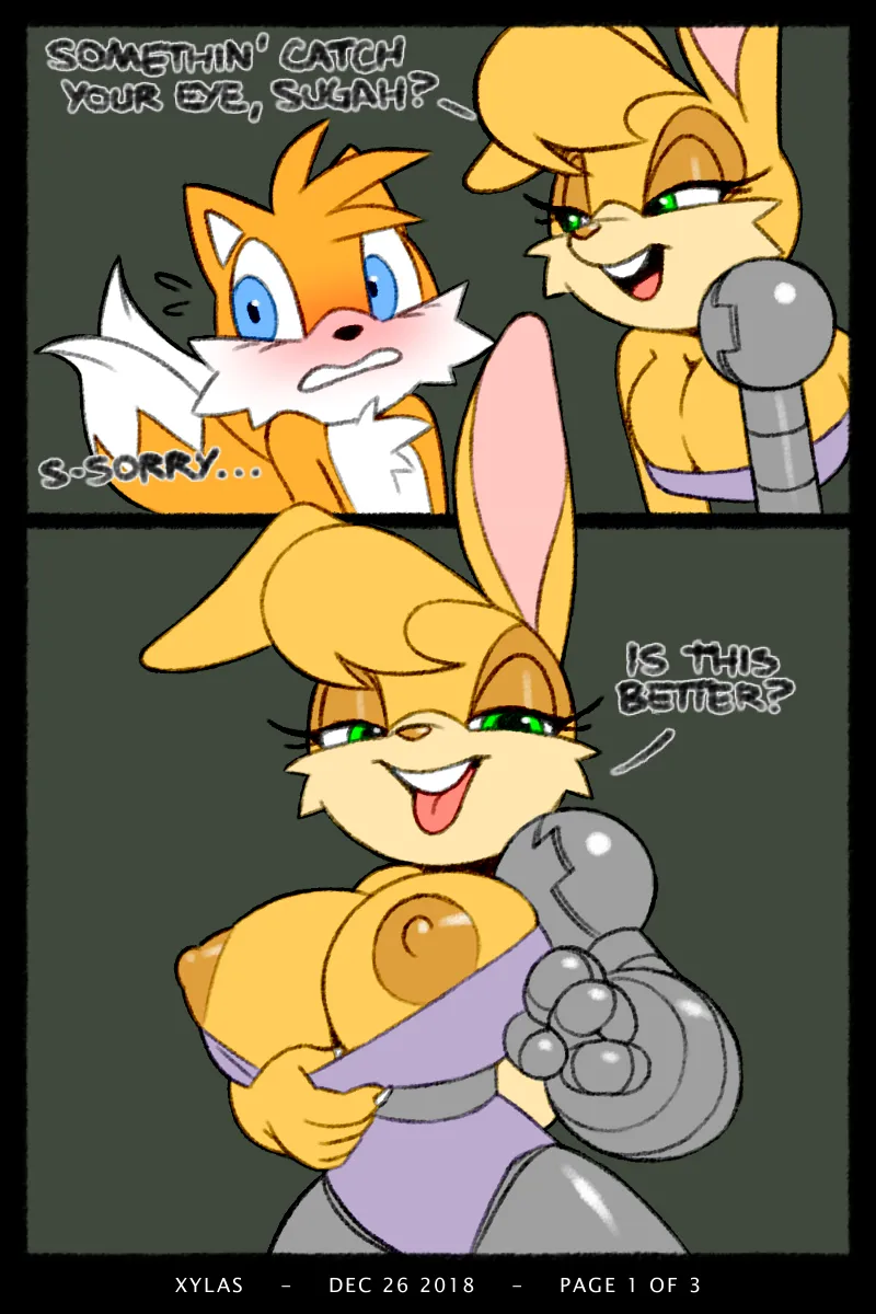 Tails x Bunnie 1