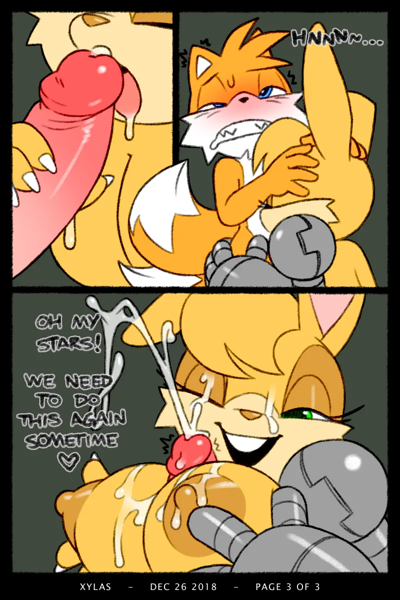 Tails x Bunnie 3