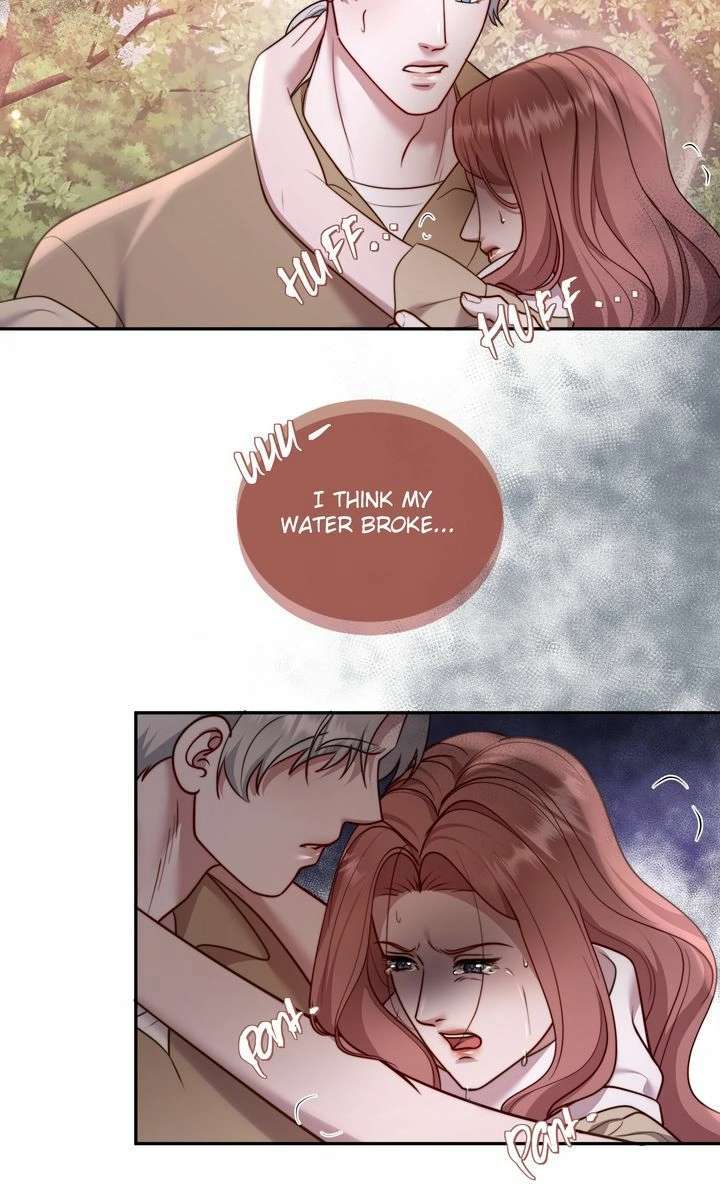 The Billionaire’s Replacement Wife 6