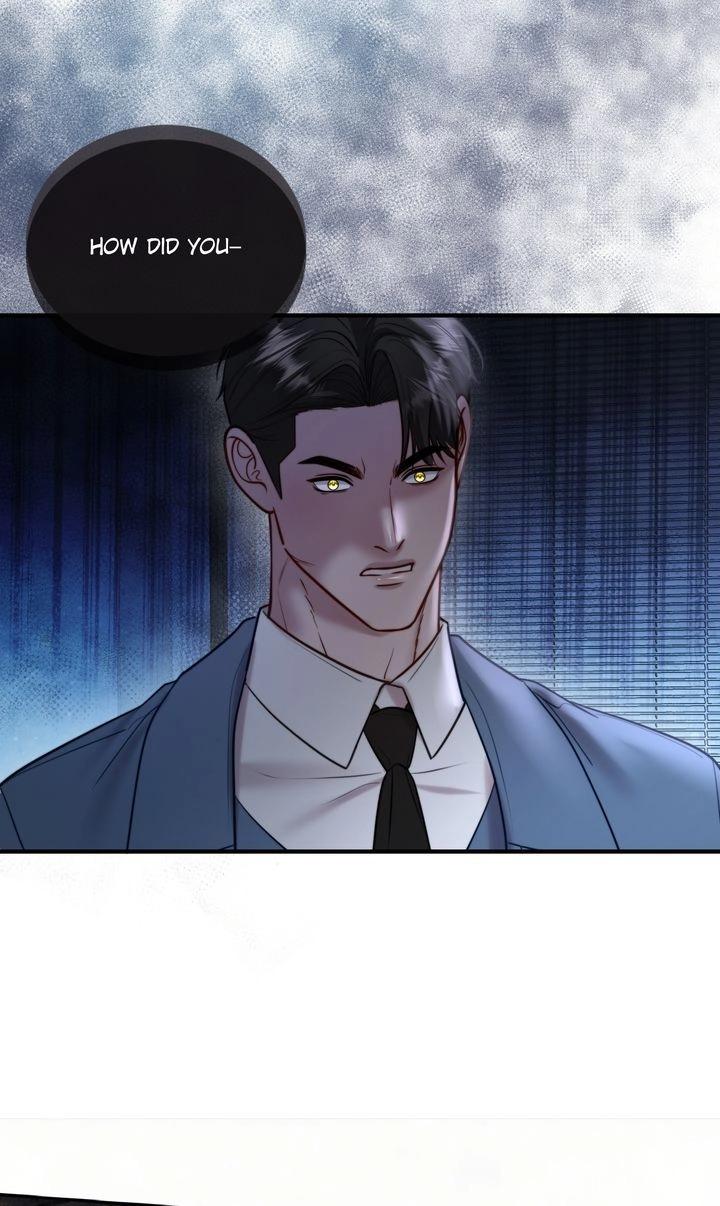 The Billionaire’s Replacement Wife 24