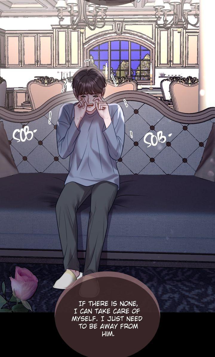 The Billionaire’s Replacement Wife 35