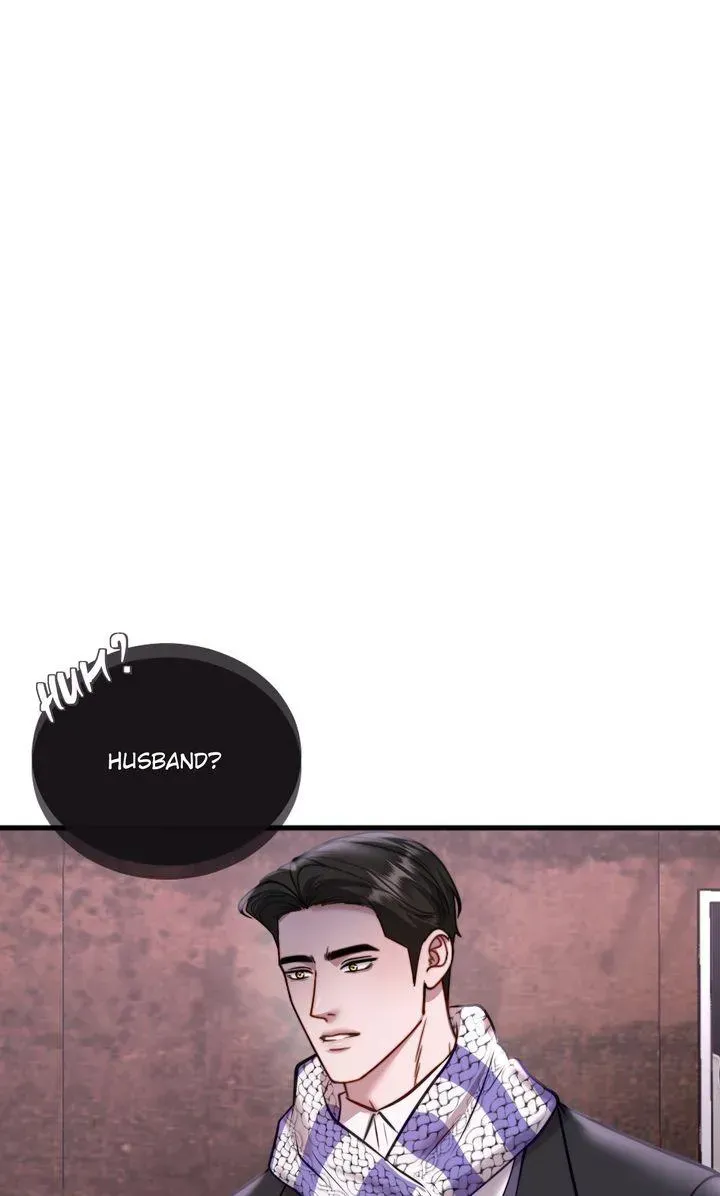 The Billionaire’s Replacement Wife 31