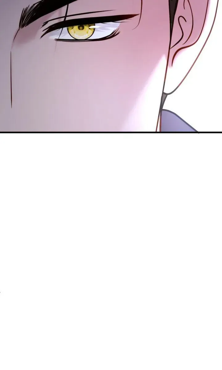 The Billionaire’s Replacement Wife 95