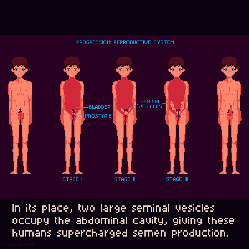 The Caprini Breeding Program 11